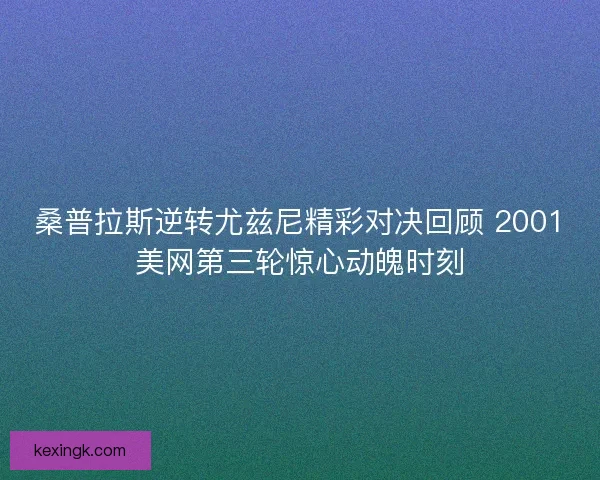 桑普拉斯逆转尤兹尼精彩对决回顾 2001美网第三轮惊心动魄时刻