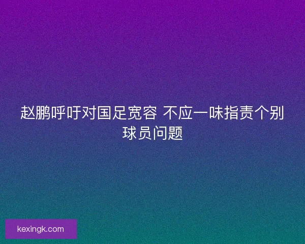 赵鹏呼吁对国足宽容 不应一味指责个别球员问题
