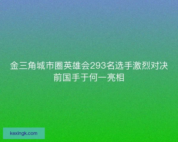 金三角城市圈英雄会293名选手激烈对决前国手于何一亮相